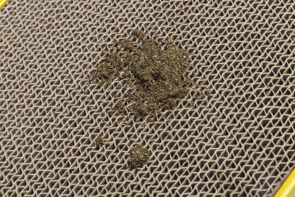 Beeztees Rampino - Krabpaal - Multi - 1x47x1 cm