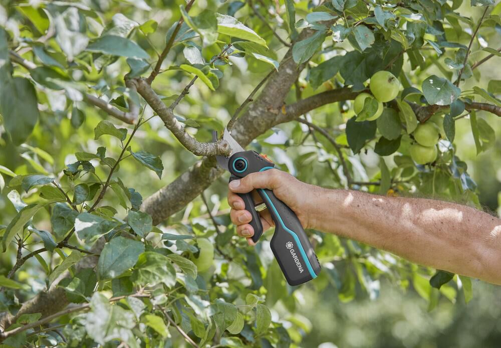 Gardena AssistCut Accu - Snoeischaar