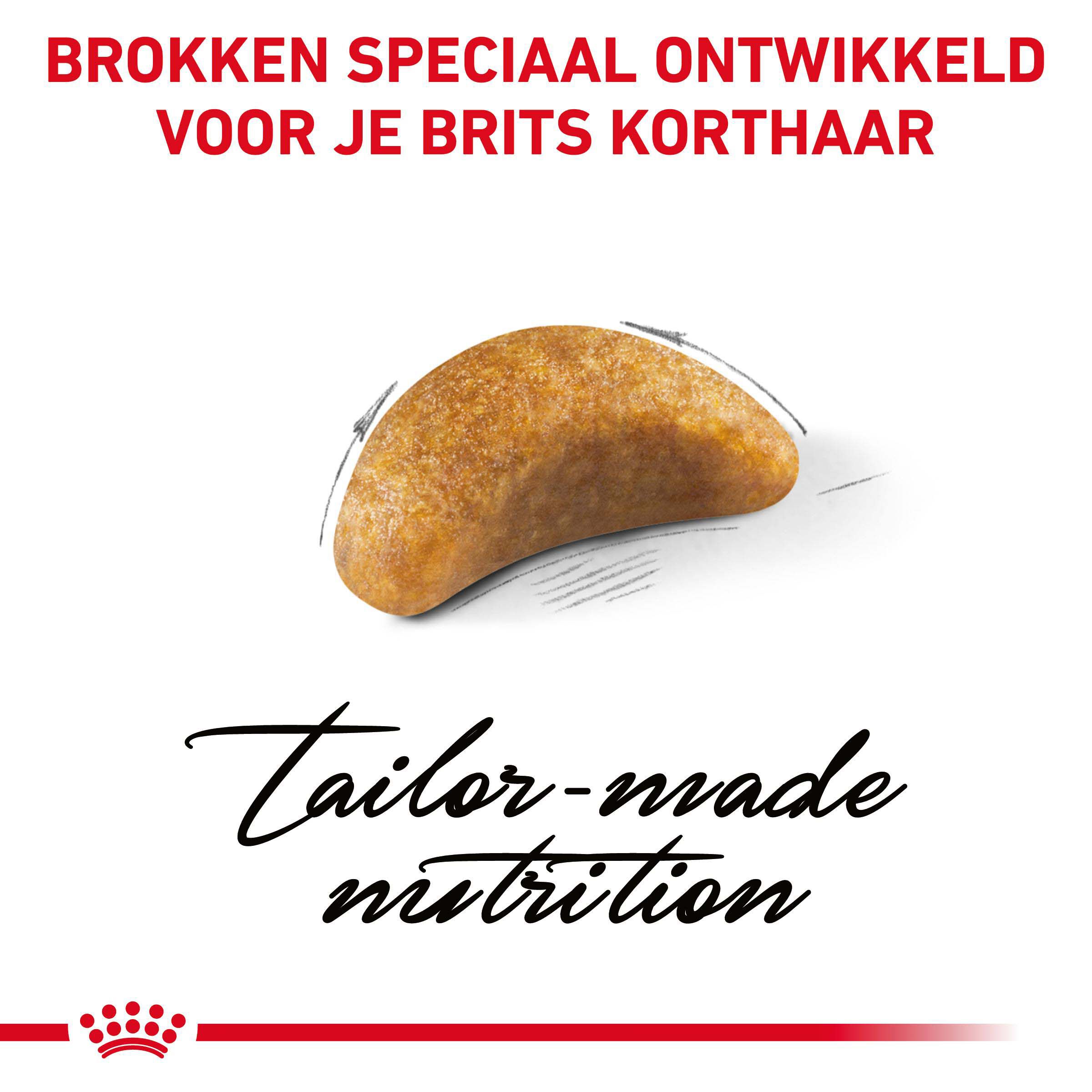 Royal Canin Britse Korthaar Kitten - Kattenvoer - 10 - Gevogelte