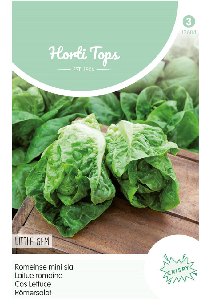 Hortitops Bindsla Lactuca sativa Romeinse mini sla - Little Gem - Sucrine - Groentezaden Hortitops Bindsla Lactuca sativa Romeinse mini sla - Little Gem - Sucrine - Groentezaden
