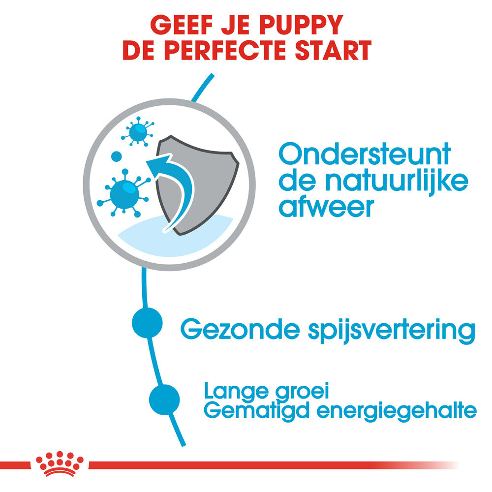 Royal Canin SHN Maxi puppy - Hondenvoer - 15 - gevogelte