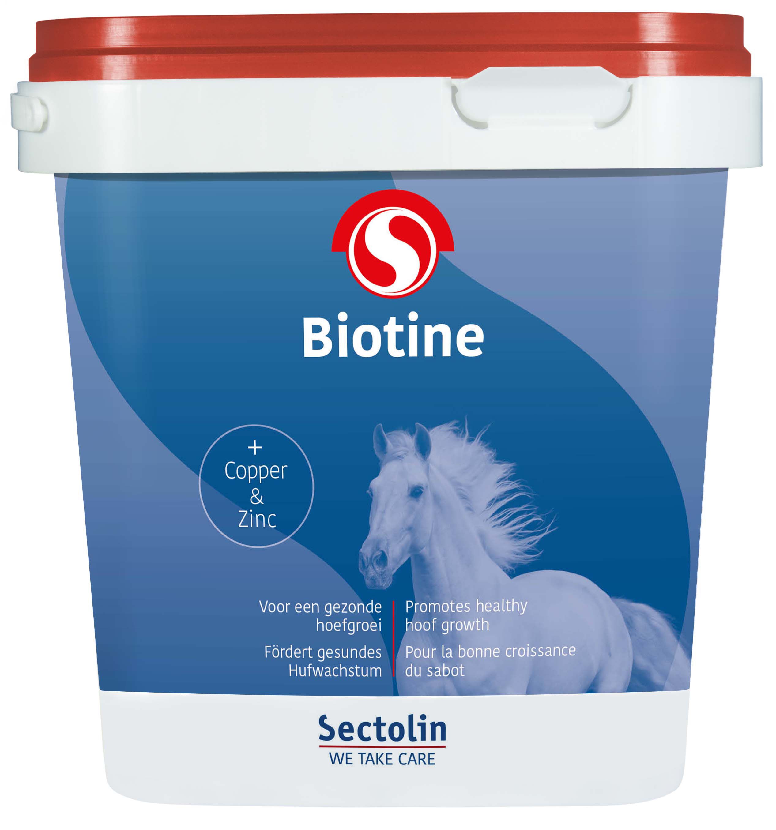 Sectolin Biotine Poeder - Hoeven supplement Paard - 1.00 - Emmer
