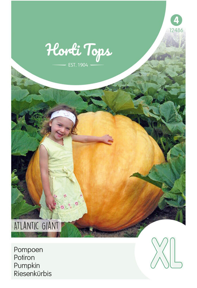 Hortitops Pompoenen Cucurbita maxima Atlantic Giant - Groentezaden Hortitops Pompoenen Cucurbita maxima Atlantic Giant - Groentezaden