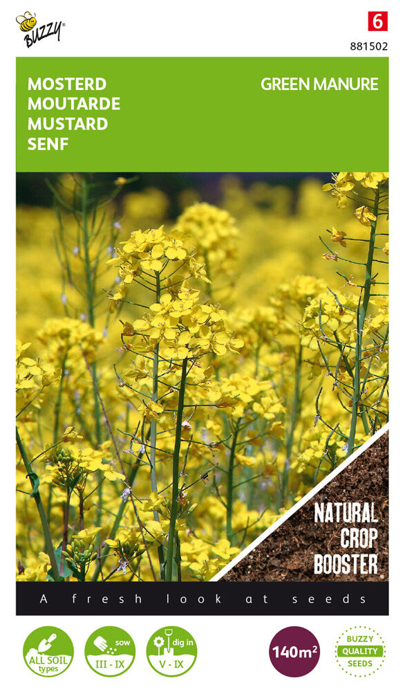Buzzy Afrikaantje Tagetes - Groenbemester