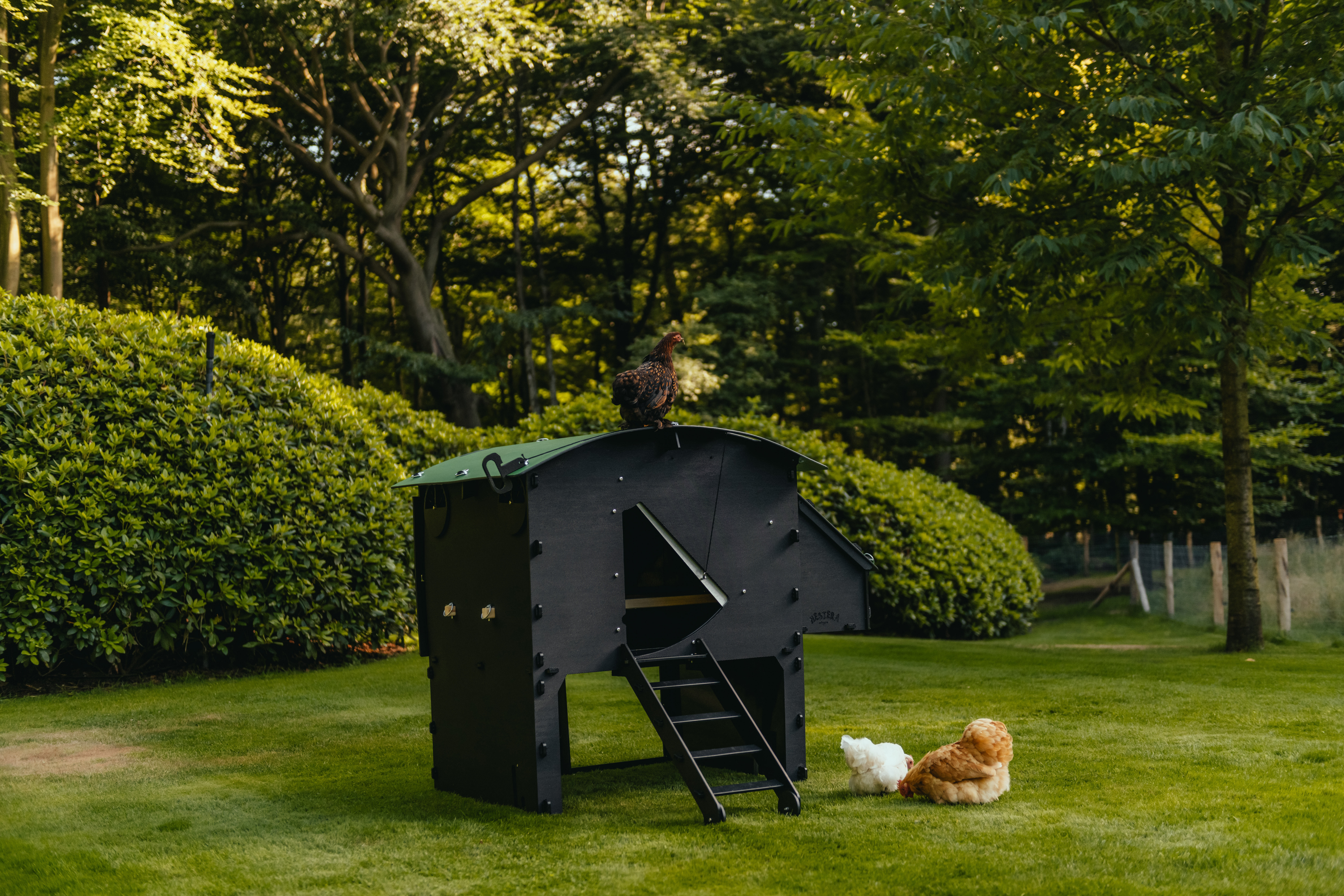 Nestera Penthouse - Kippenhok - tot 8 kippen - 117.00 cm - Zwart/Groen - 91.00 cm - L - 80.00 cm