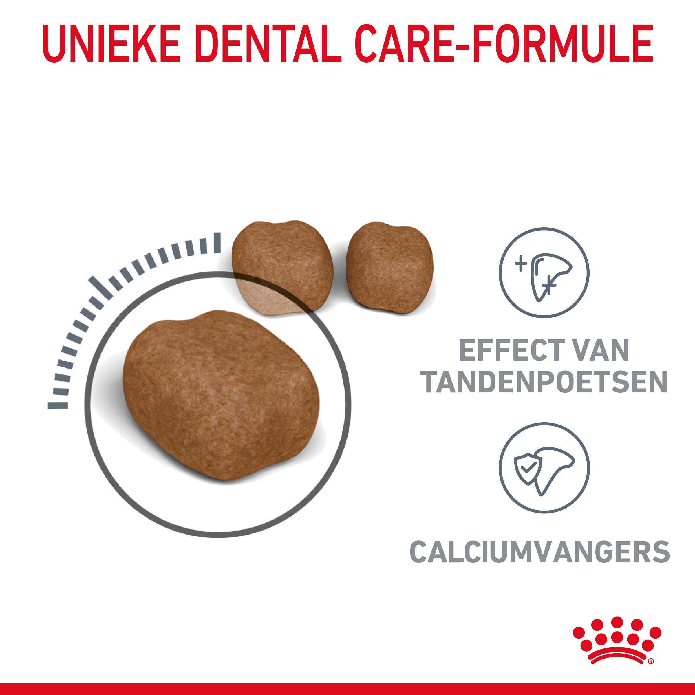 Royal Canin Oral Care - Kattenvoer - 3500 - Gevogelte