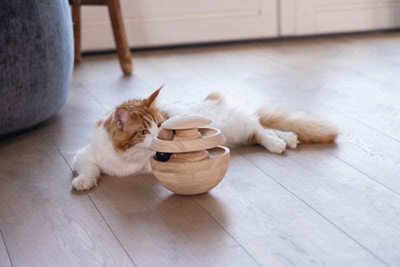 Designed by Lotte Neya - Kattenspeeltje