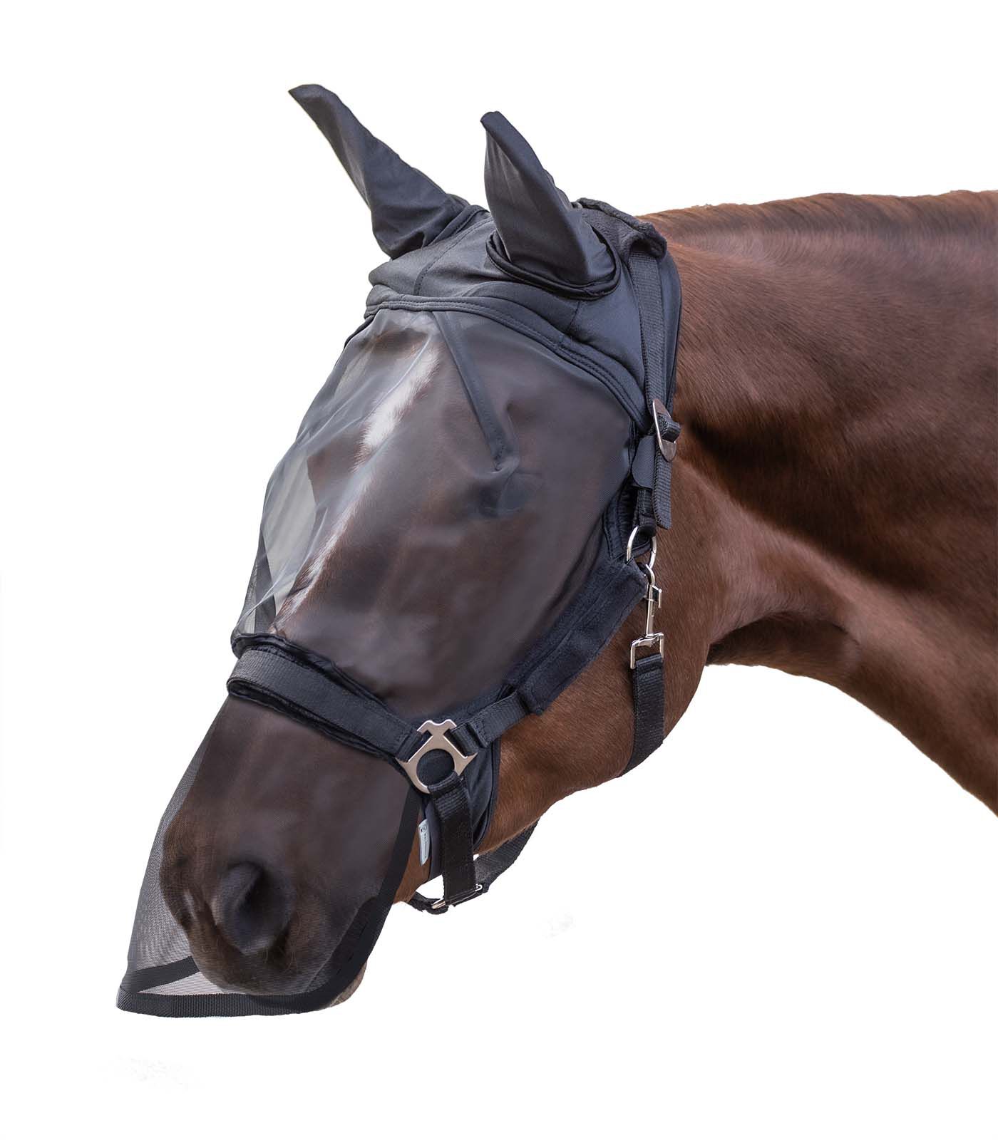 Waldhausen  - Vliegenmasker