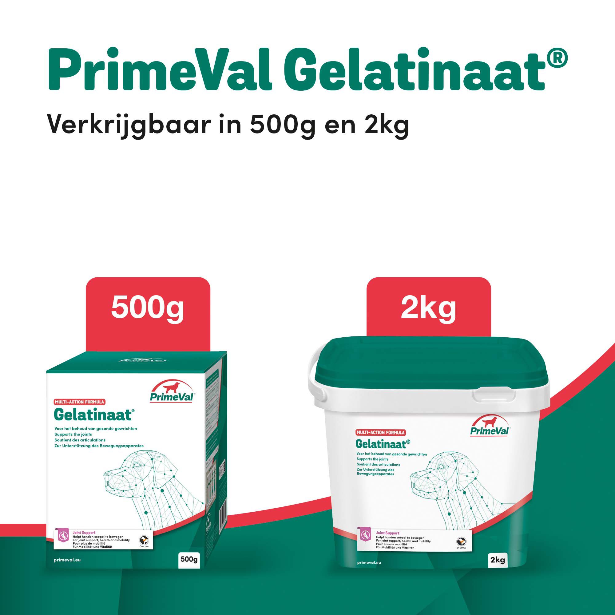 Primeval Gelatinaat Hond - Voedingssupplement - 1.00 cm - 2.00 - 1.00 cm - 1.00 cm