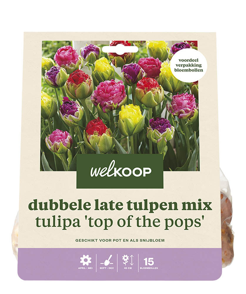 Welkoop Dubbele Tulpen mix Manon - Bloembollen Welkoop Dubbele Tulpen mix Manon - Bloembollen