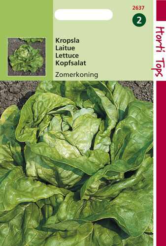 Horti Tops Kagraner Sommer 2 - Kropsla -