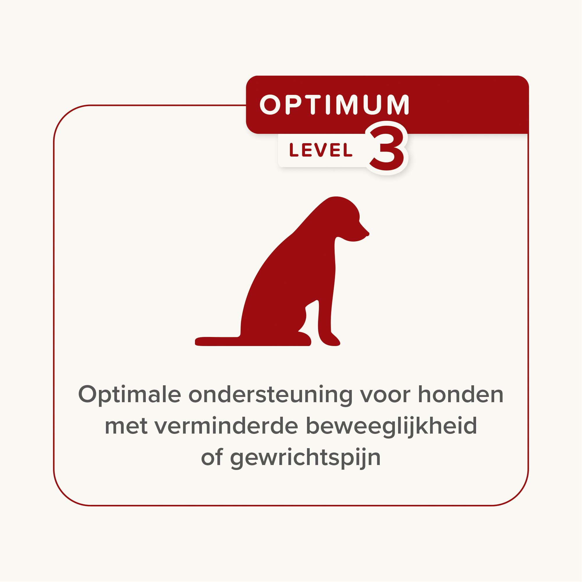 Beaphar Flexifit Chews - Gewrichten Hond - 175