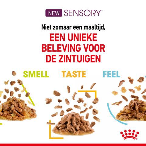 Royal Canin Sensory Multipack - Kattenvoer - 1020