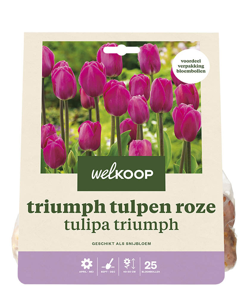 Welkoop Tulp Hedwig  - Bloembollen Welkoop Tulp Hedwig  - Bloembollen