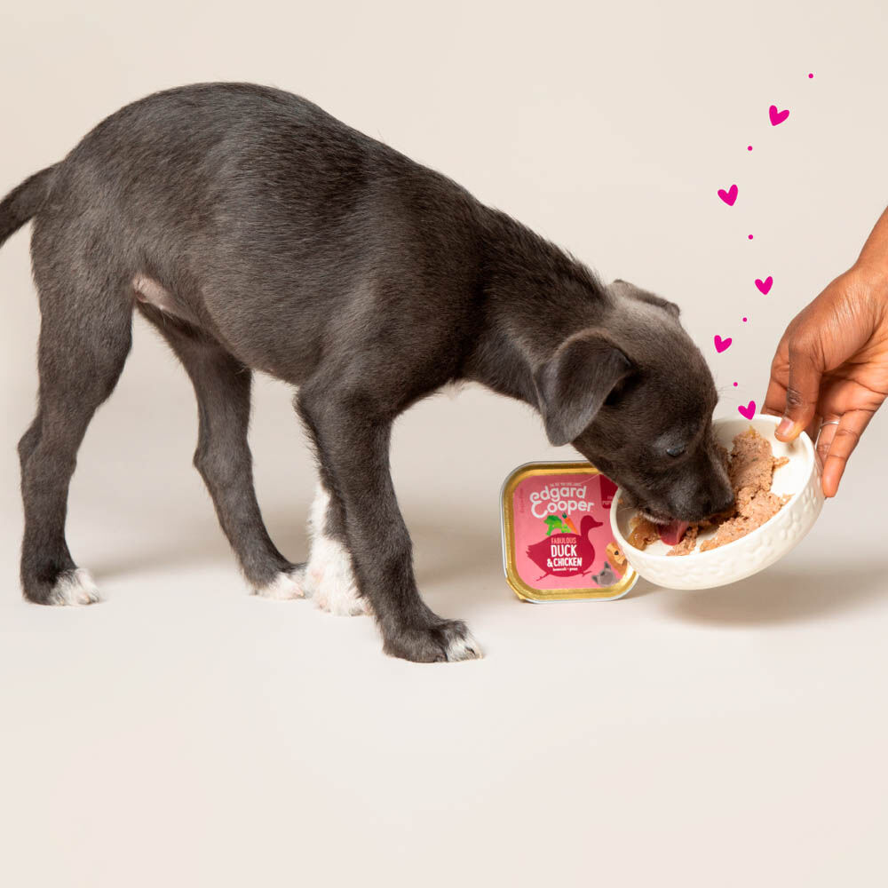Edgard & Cooper Puppy - Hondenvoer - Eend - Kip - 300 gram