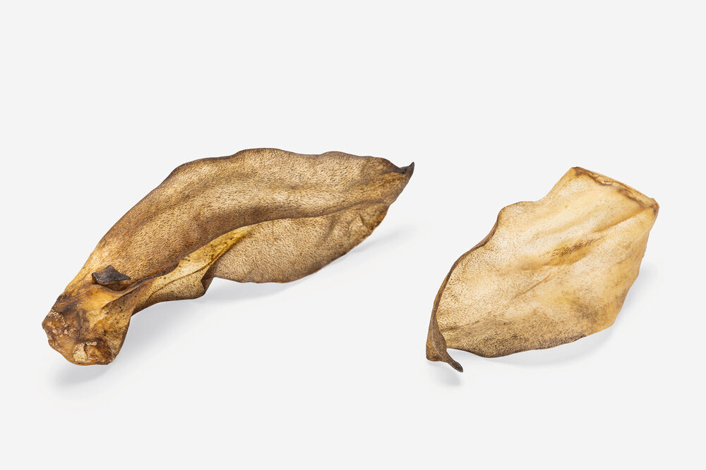 Beeztees Geitenoren - Hondensnack - geit