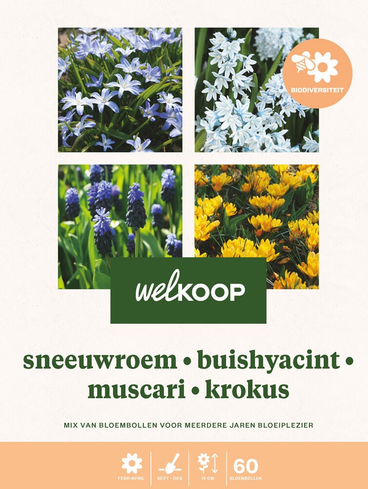 Welkoop Blauwe druifjes Hyacint Sneeuwroem Krokus Biodiversiteit - Bloembollen Welkoop Blauwe druifjes Hyacint Sneeuwroem Krokus Biodiversiteit - Bloembollen