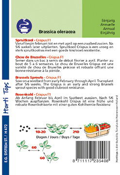 Hortitops Spruitkool Crispus F1 - Groentezaden