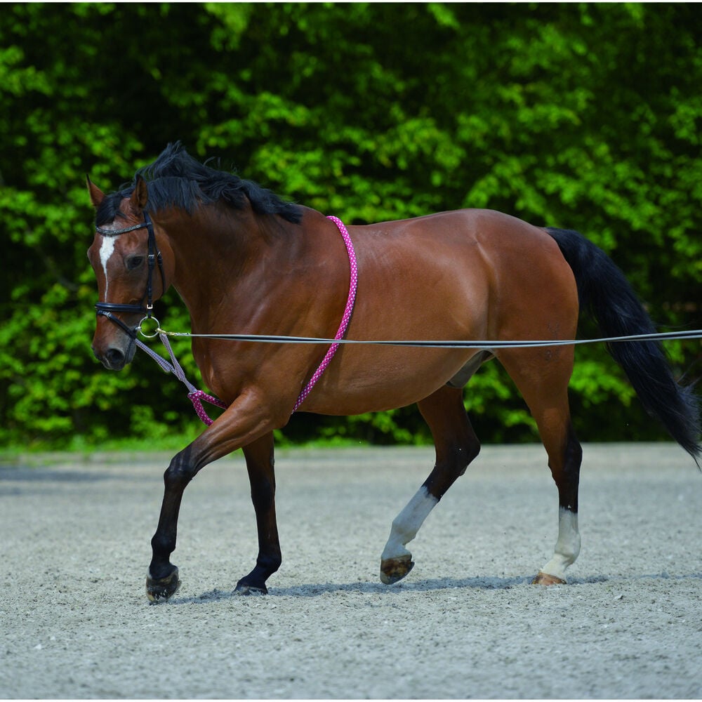 Waldhausen - Longeerhulp - Rood - Cob