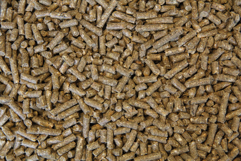 Voermeesters Veulen - Fokkerij - 20 kg - Zak