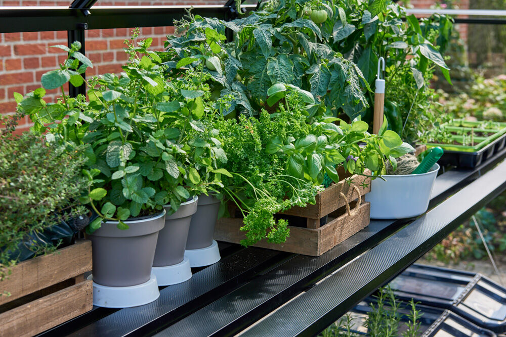 Halls Qube 610 - Kweektafel - Zwart - 5x60x316 cm