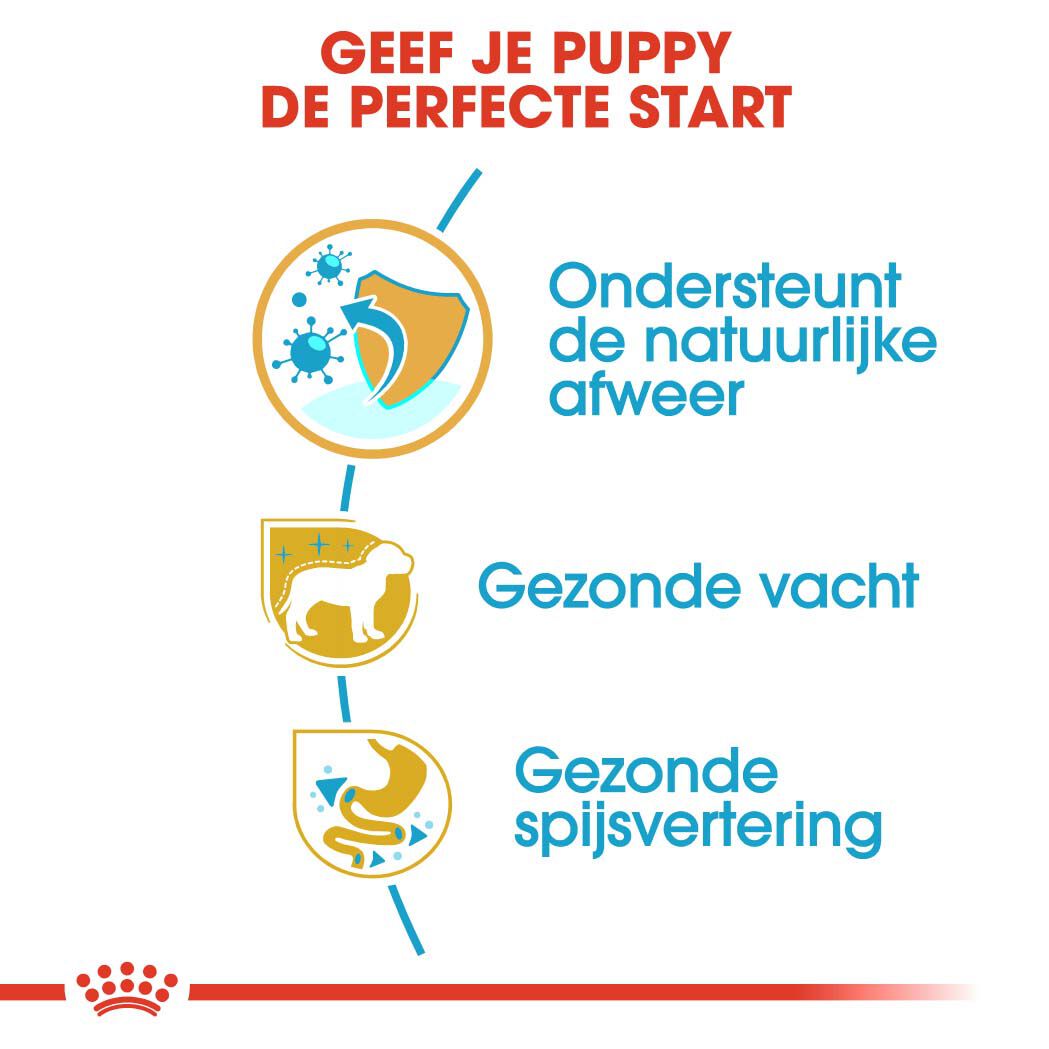 Royal Canin Poedel Junior - Hondenvoer - 3 - gevogelte