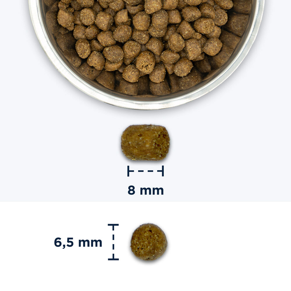 Eukanuba Adult Hairball Control- Kattenvoer - Kip - 10 kg