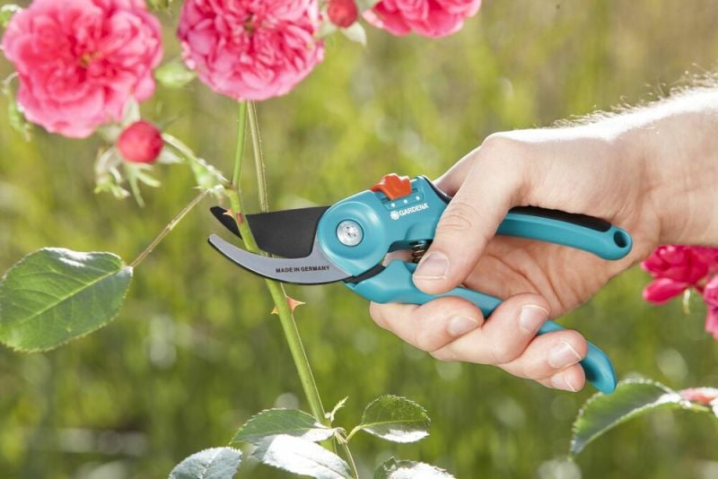 Gardena Classic B/S-M - Snoeischaar