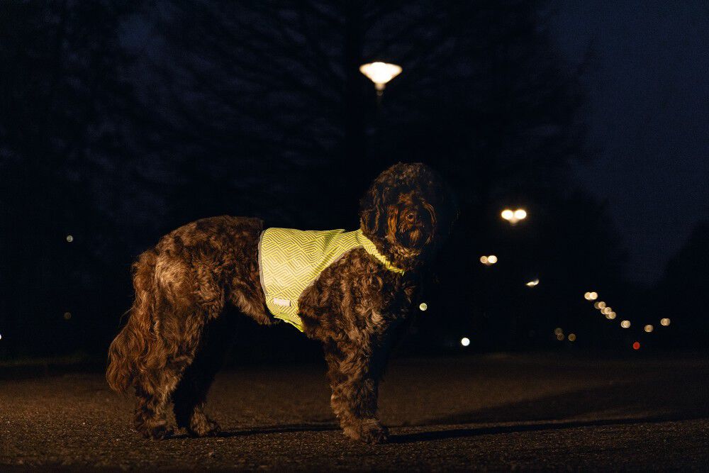 Beeztees Ava - Reflecterend Vest - Hond - Geel - S - 40 cm