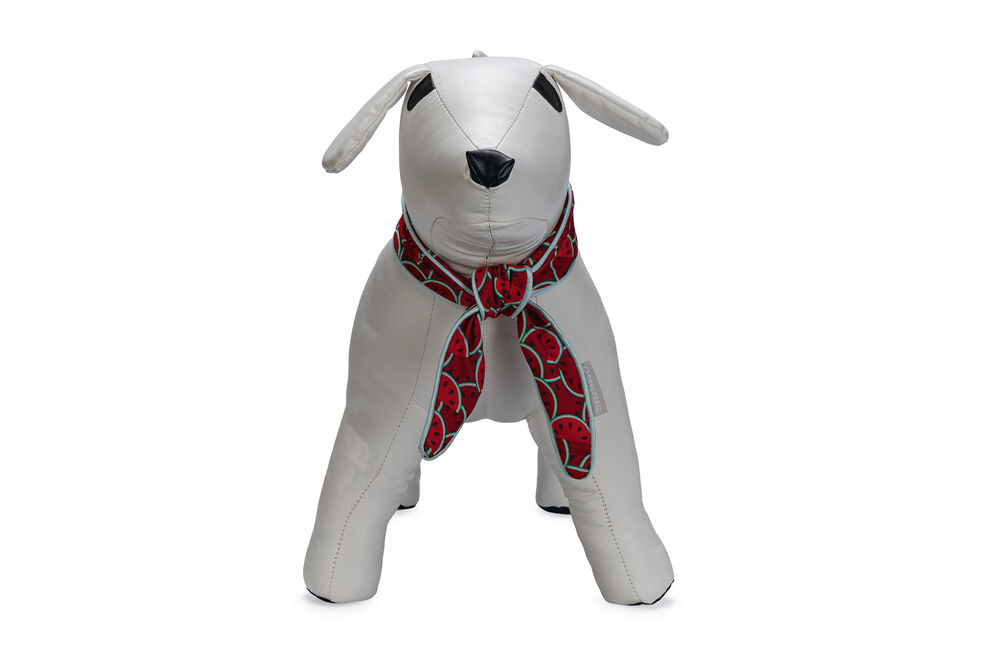 Beeztees Quick Cooler Meloenie - Halsband Hond - rood - S