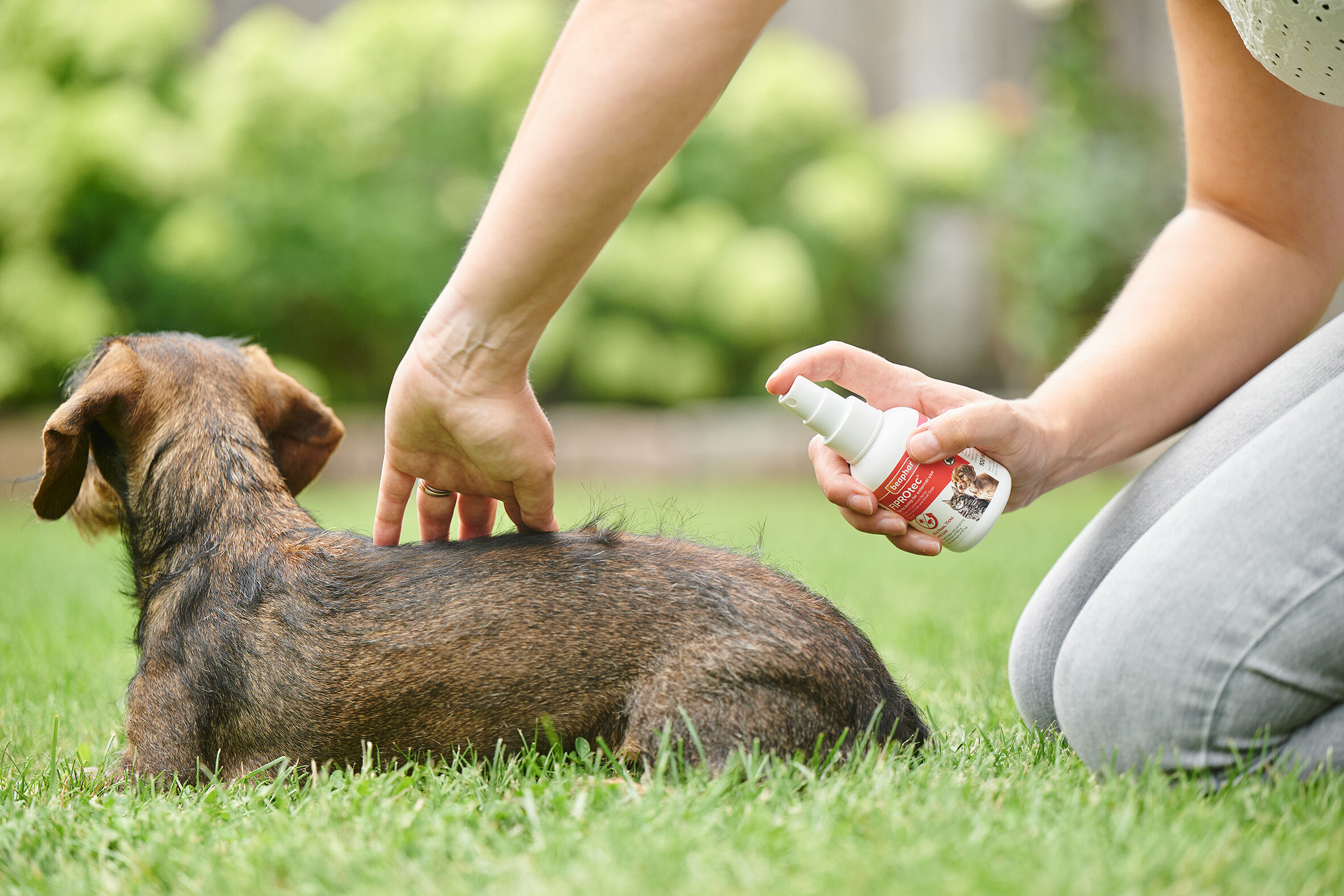 Beaphar Fiprotec Pipet - Anti Vlooien en teken - Hond - 14.50 cm - 12.20 cm - 4.50 cm