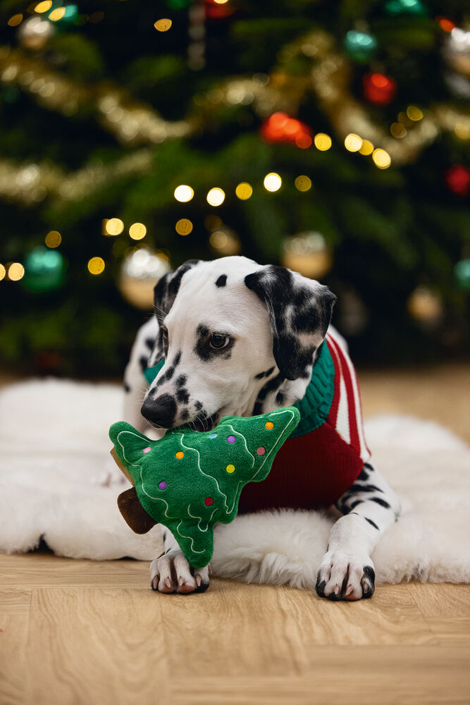 Beeztees Kerstboom - HondenspeeD323:D336lgoed - Groen