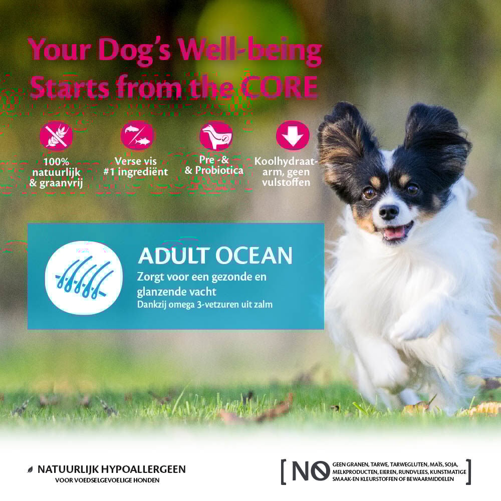 Wellness CORE Adult Ocean Small-Breed - Hondenvoer - Zalm - Tonijn - 5 kg