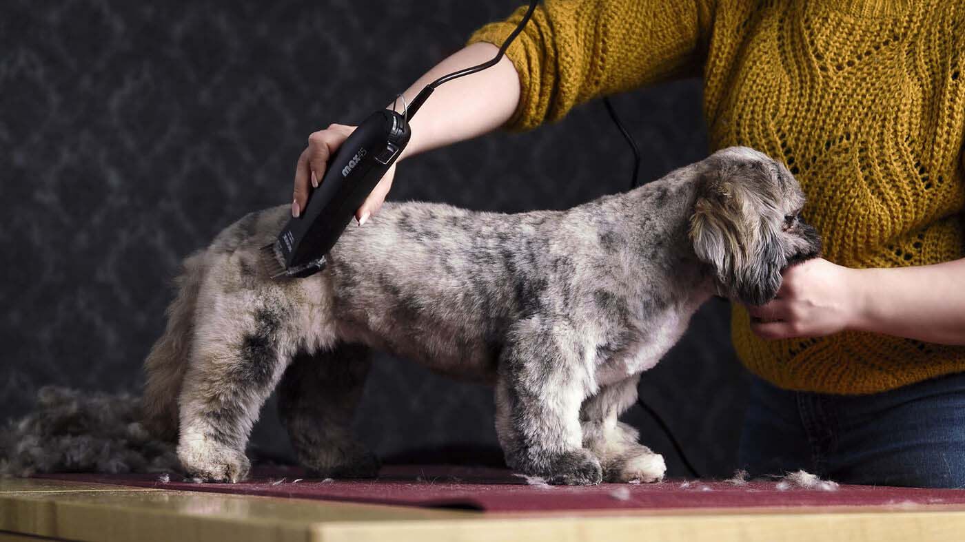 Moser Max 45 - Tondeuse - Zwart - 25.6x19.7x8.7 cm