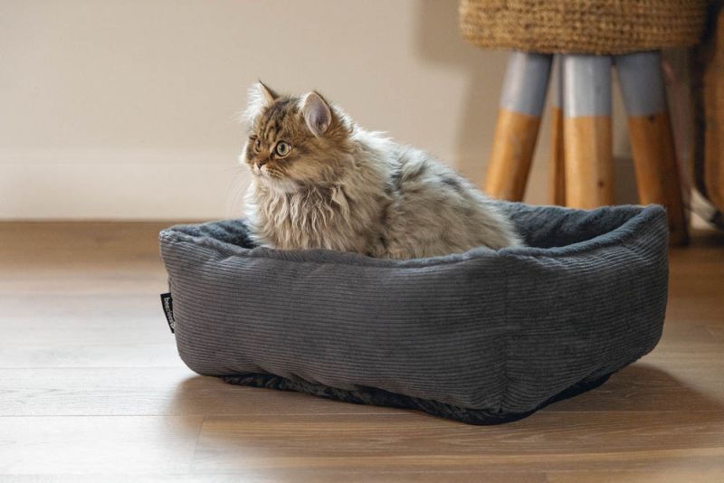 Beeztees Moza - Ligbed - Grijs - 15x48x37 cm