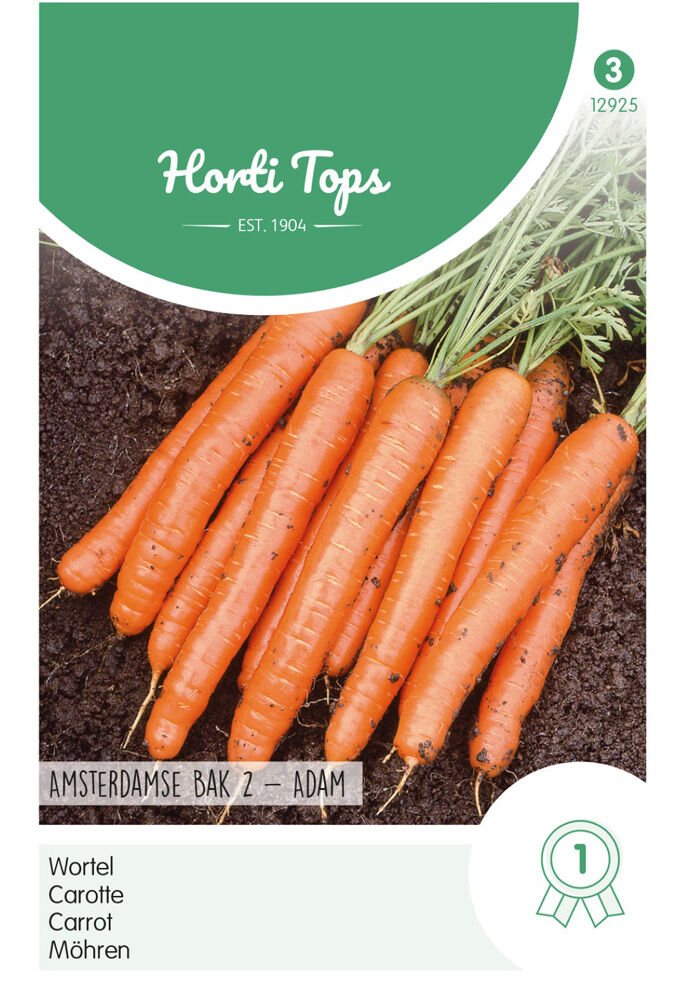 Hortitops Wortelen Daucus carota Amsterdamse Bak 2 - Adam - Groentezaden Hortitops Wortelen Daucus carota Amsterdamse Bak 2 - Adam - Groentezaden