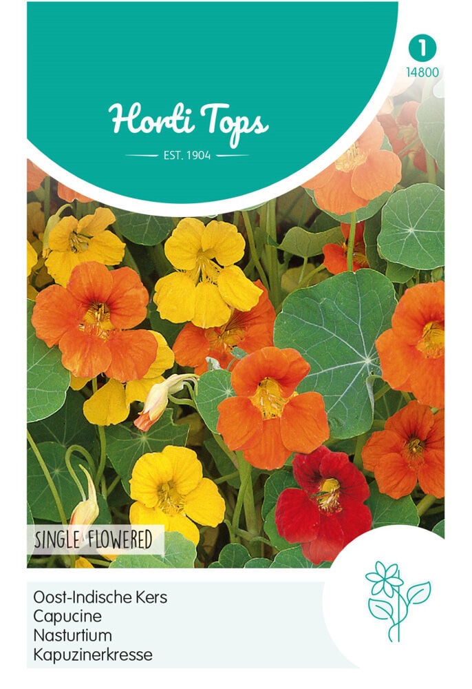 Hortitops Oostindische Kers Rankend - Bloemzaden Hortitops Oostindische Kers Rankend - Bloemzaden