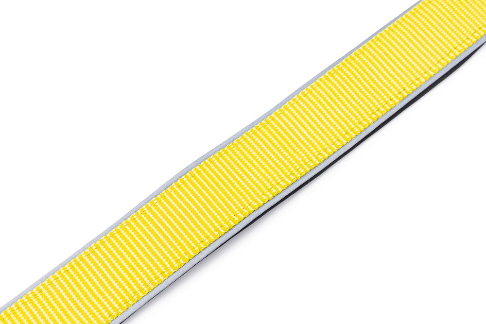 Beeztees Parinca - Lichtende Halsband - Hond - 31.00 cm - Geel - 4.20 cm - 50 tot 55 cm - 4.50 cm