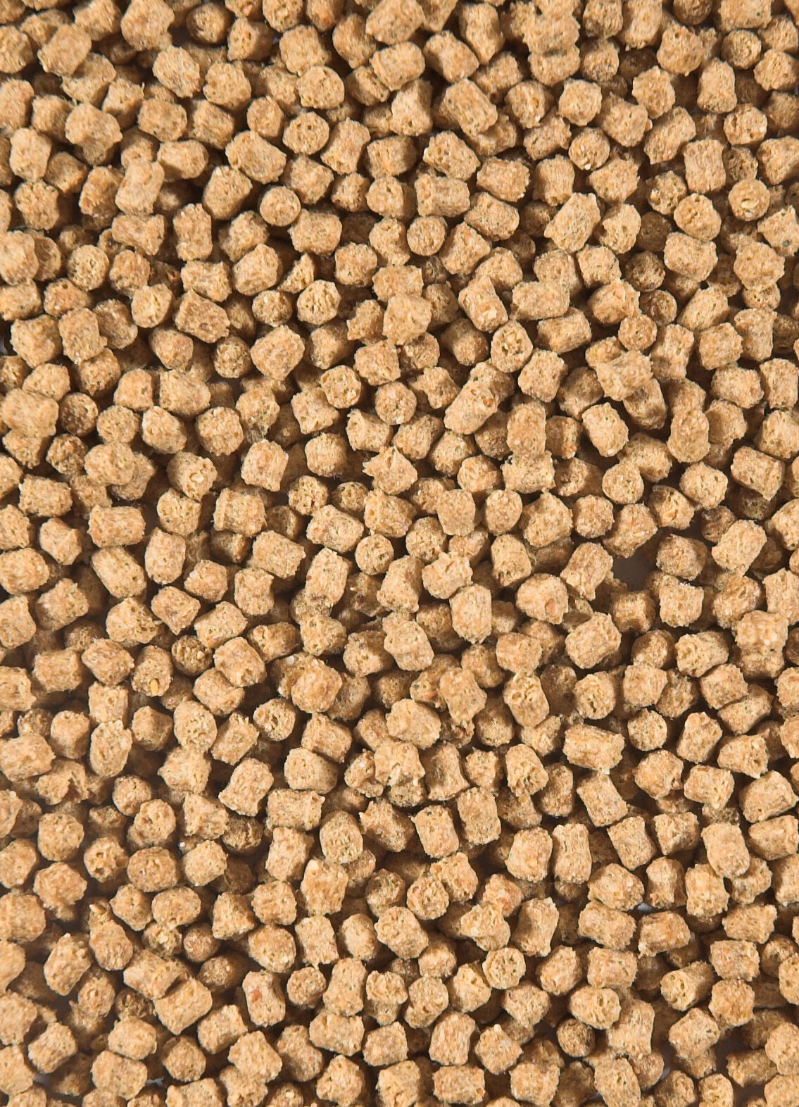 Velda Winter - Pellets - Vijvervissenvoer - 3000