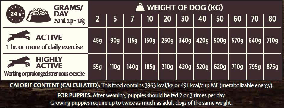 Wellness CORE Adult Active Life - Hondenvoer - 10 - kip