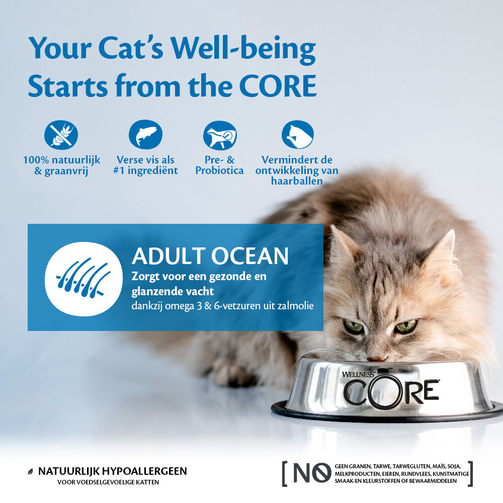 Wellness Core Adult Ocean - Kattenvoer - Zalm - Tonijn - 4 kg