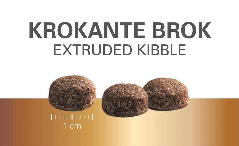 Prins Petfoods Protection Croque Mini Senior Fit - Hondenvoer - 10.00 - kip