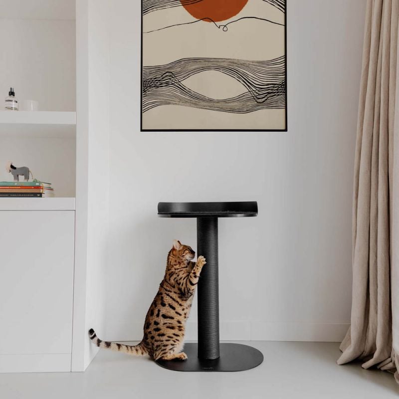 District 70 OASIS 80 - Krabpaal - 80.00 cm - Zwart - 35.00 cm - 74.00 cm