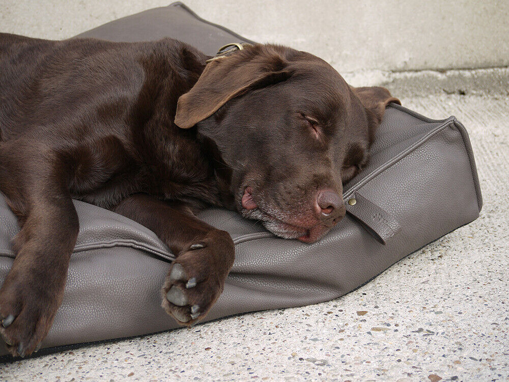 Happy-House Orthopedisch - Hondenkussen - bruin - 15x110x110 cm - M