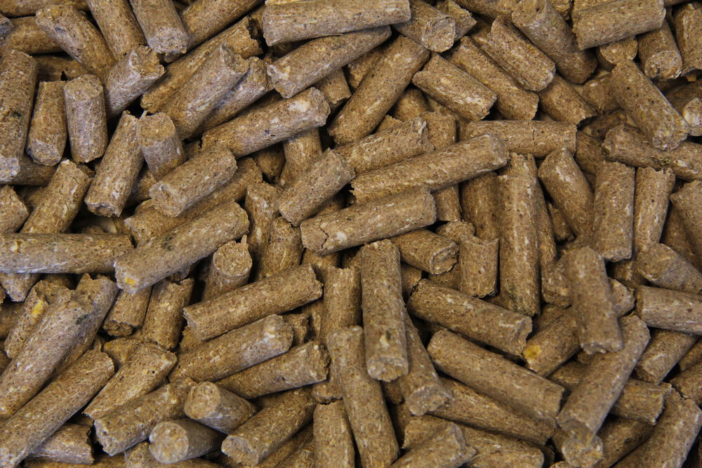 Voermeesters Merrie - Fokkerij - 20 kg - Zak