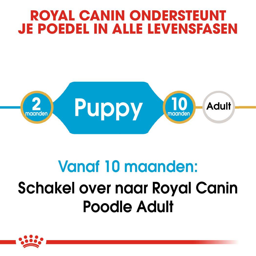Royal Canin Poedel Junior - Hondenvoer - 3 - gevogelte