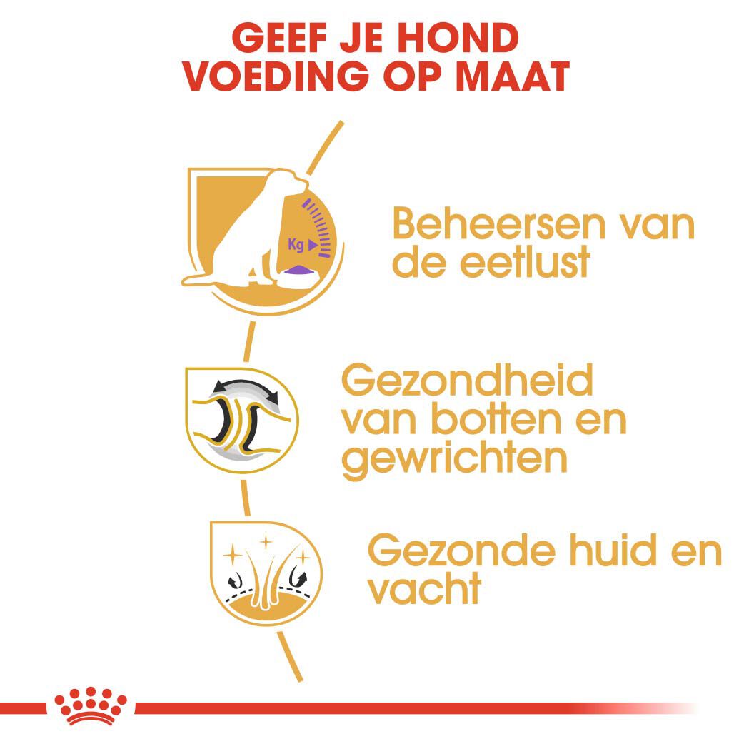 Royal Canin Labrador Retriever Sterilised - Hondenvoer - 12 - gevogelte