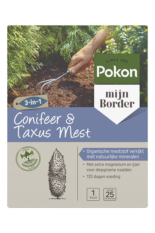 Pokon Conifeer & Taxusvoeding - Siertuinmeststof -