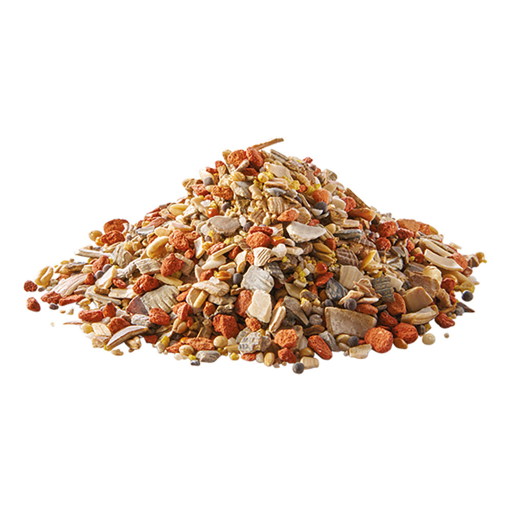 Welkoop Pikmix - Kippen Supplement - 1.5