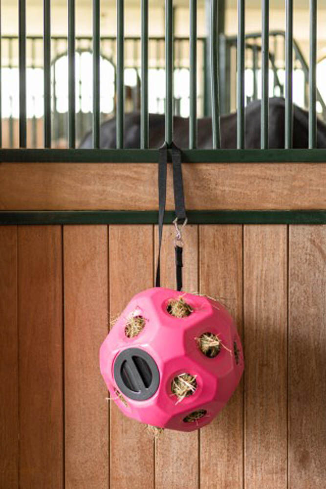 Kerbl Grote paarden - Voerspeelbal - Roze
